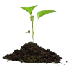 Environnement
