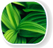 Environnement