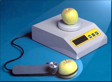Balance �lectronique pour d�termination combin�e poids et taille des fruits : gamme SC