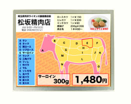 Dalle LCD TFT 10.4", VGA, 640 x 480 pixels : AA104VH12 -> MITSUBISHI ELECTRIC