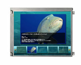 Dalle LCD TFT 12.1", XGA, 1024 x 768 pixels : AA121XK01