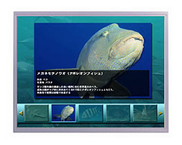 Dalle LCD TFT 15.0", XGA, 1024 x 768 pixels : AA150XT01 -> MITSUBISHI ELECTRIC