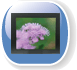 LCD panel mount