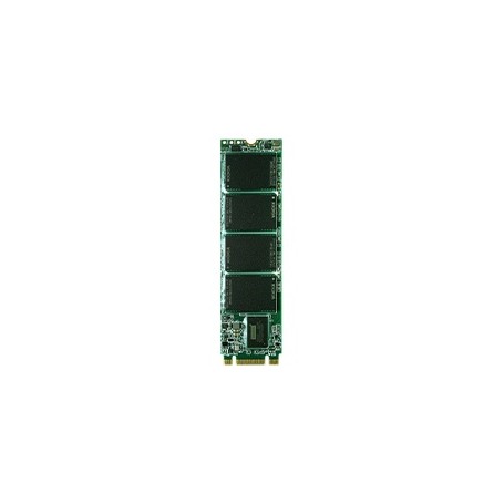PCIe Gen. III x2, NVMe 1.3 : M.2 (P80) 3TE6 B+M Key