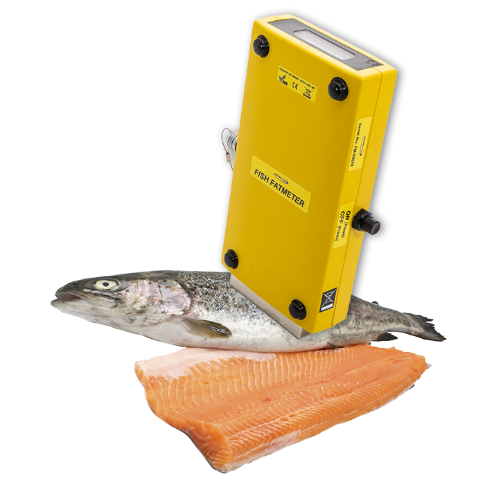 Planche à Mesurer Pour Poisson, 80 Cm, Règle De Pêche