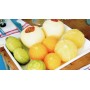 Éplucheur peleur automatique fruits et légumes : FAP-1001