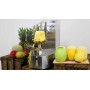 Éplucheur peleur automatique mangue, melon, citrouille : KA 750 PM