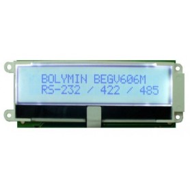 Module display embedded system : BEGV606M