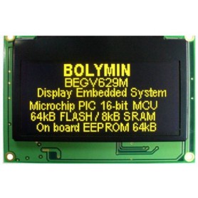 Module display embedded system : BEGV629M