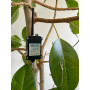 Système de mesure IoP (Internet Of Plants) via réseau : LoRaWan