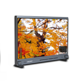 Moniteur de diffusion portable 31,5" 4K HDMI avec SDI, HDR et 3D LUTS : BM310-4KS