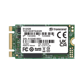 Carte SSD (16Go - 512Go) : MTS402M & MTS402I