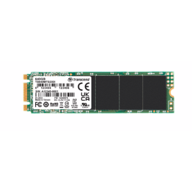 SSD M2, NAND, de 20Go à 640Go : MTS250I