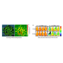 Système d'imagerie de fluorescence chlorophyllienne in vivo : PlantView 230F