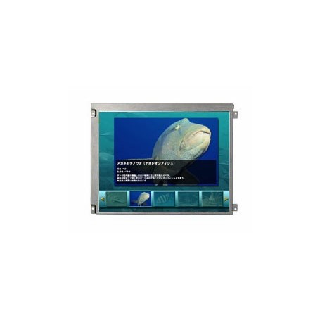 Dalle LCD TFT 12.1", XGA, 1024 x 768 pixels : AA121XK01