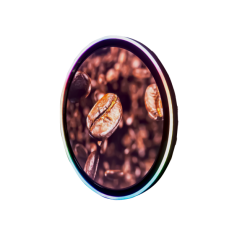 Écran TFT-LCD Circulaire, 1280 x 1280, 23,6 pouces : SSD/SSF/SSH 2368-C