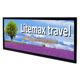 Écran TFT-LCD Haute Luminosité, 1920 x 720, 12,3 pouces : SSD/SSF/SSH 1236-Y