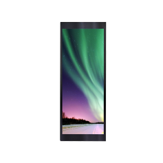 Écran TFT-LCD Haute Luminosité,1920 x 720, 12,3 pouces : 0683-M