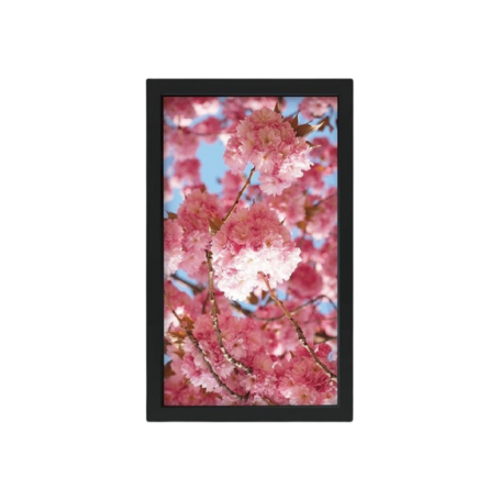 Écran LCD Industriel, 3840x2160, 43 pouces : DPD 4305-AGU