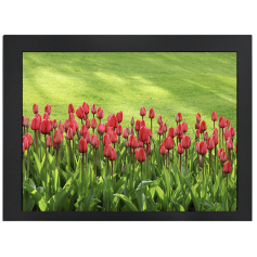 Écran LCD Industriel, 800x600, 10,4 pouces : DLD/DLF/DLH 1047-N