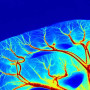 Système d'imagerie par contraste speckle laser : RFLSI-ZW