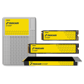 SSD NVMe entreprise PCIe Gen4 haute vitesse – datacenters : PASCARI D100P
