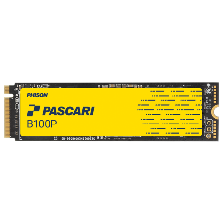 SSD NVMe PCIe Gen4 M.2 2280 – disque de boot serveurs : PASCARI B100