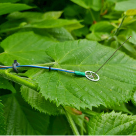 Capteur d’écart de température surface feuille et air ambiant : LAT-B3 et LAT-B4