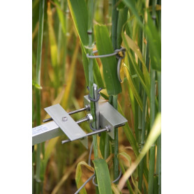 Dendromètre combiné COMBI