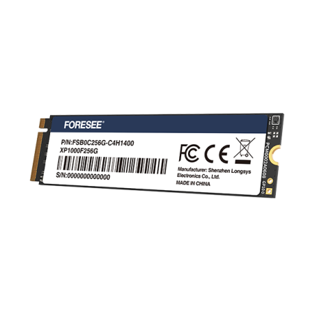 SSD NVMe PCIe Gen3 x4 - Jusqu’à 3500MB/s & M.2 2280 : XP1000