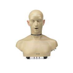 Tête artificielle HATS pour tests acoustiques automobiles - haute précision : 45BD AutoKEMAR