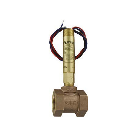 Détecteur de débit à palette 1” 1/4