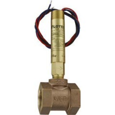 Détecteur de débit à palette 1” 1/4