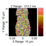 NanoStandard™ et MicroStandard™ pour calibration de taille de particules