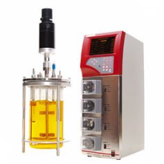 Bioréacteur fermenteur autoclavable : FerMac 320