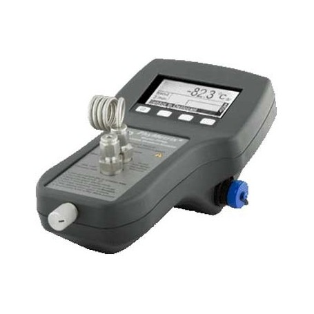 Hygromètre portable humidité et point de rosée gaz : PPMA