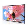 Modèle 32", moniteur haute luminosité 2500 cd/m2 Full HD : DLD3200-L