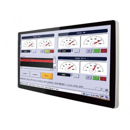 Moniteur industriel tactile 18,5" IP65 : W18L100-PTA1-C