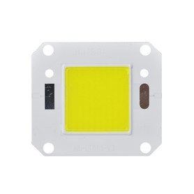 LED COB 20 - 100 W : LT005