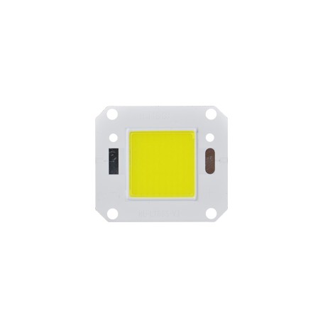 LED COB 20 - 100 W : LT005