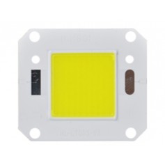 LED COB 20 - 100 W : LT005