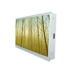 Open Frame LCD 20.1"(16:10) : W20L100-OFA4/W20L110-OFA4