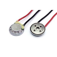 Speaker