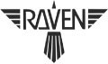 RAVEN ENVIRONMENTAL