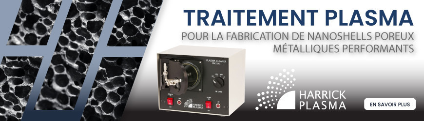 Traitement plasma pour la fabrication de nanoshells poreux métalliques performants