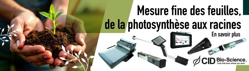 Analyse v&eacute;g&eacute;tale : mesurer la plante de la feuille aux racines