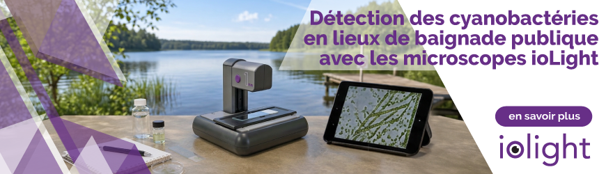D&eacute;tection des cyanobact&eacute;ries en baignade publique avec le microscope portable ioLight