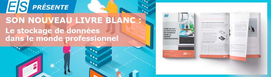 Livre Blanc : Le stockage dans le monde professionnel